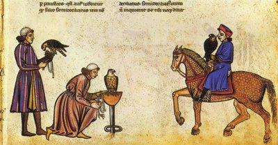 Libro de cetrería de Federico II de Vatican Library